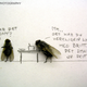 Illustration for article titled The Dead Fly Artwork Of Magnus Muhr